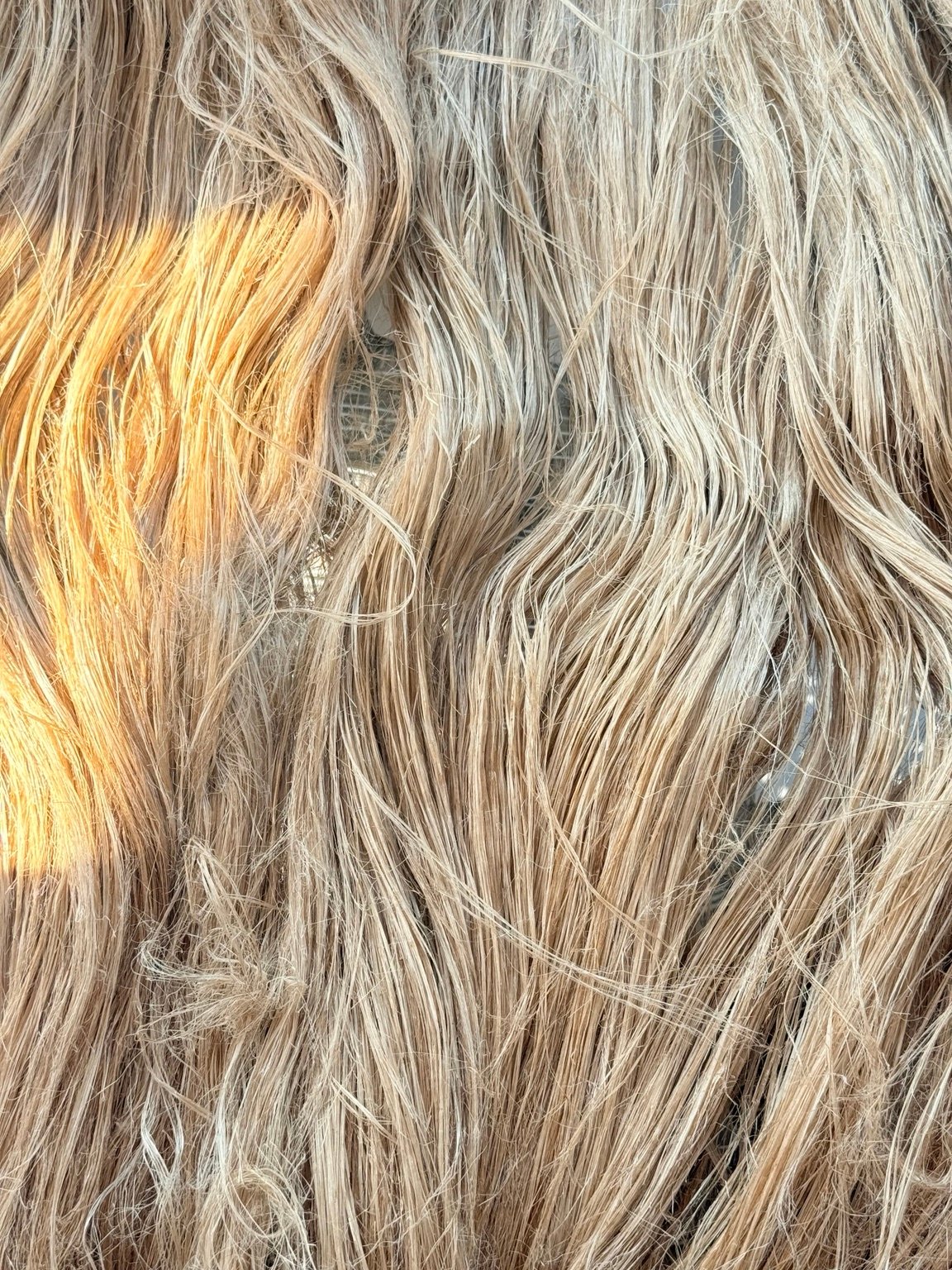 Royal Flax fiber detail