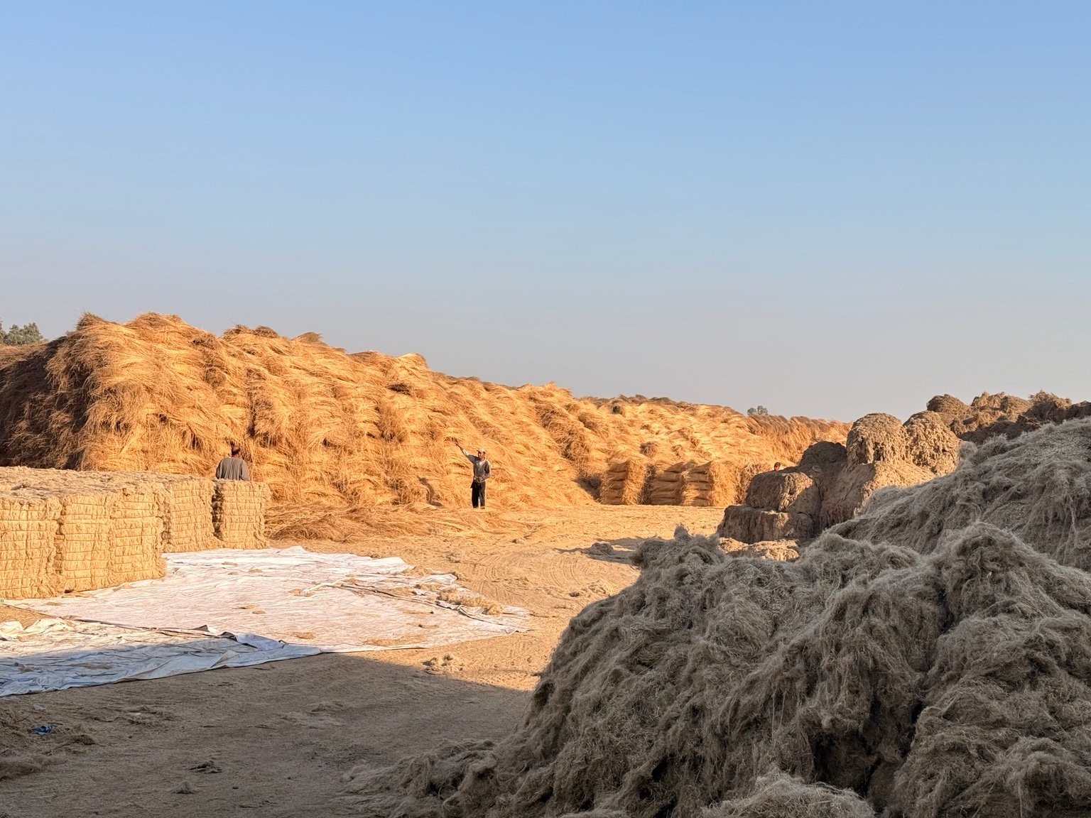 Royal Flax operating scale in Shubra Melles