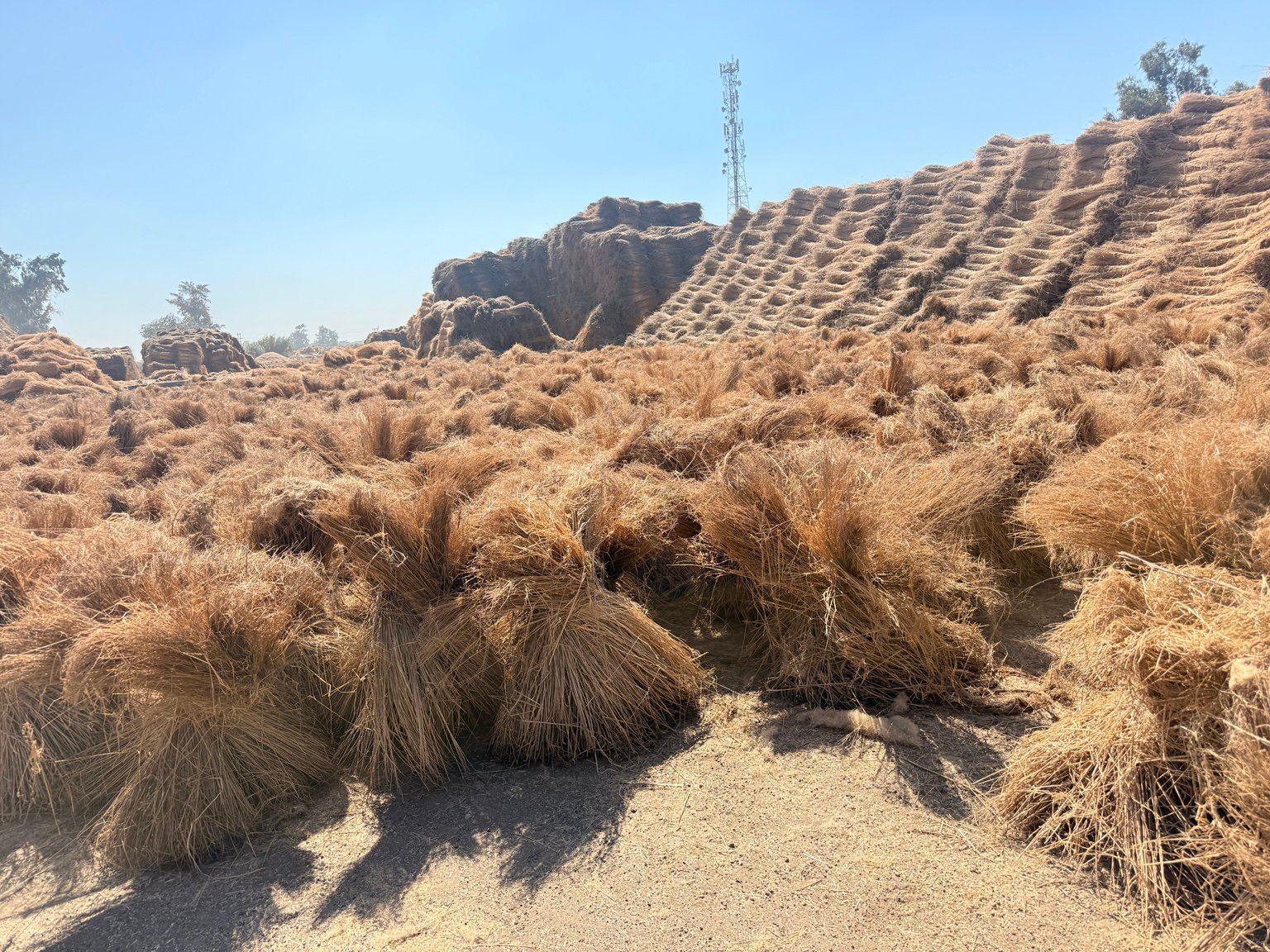 Royal Flax raw material scale