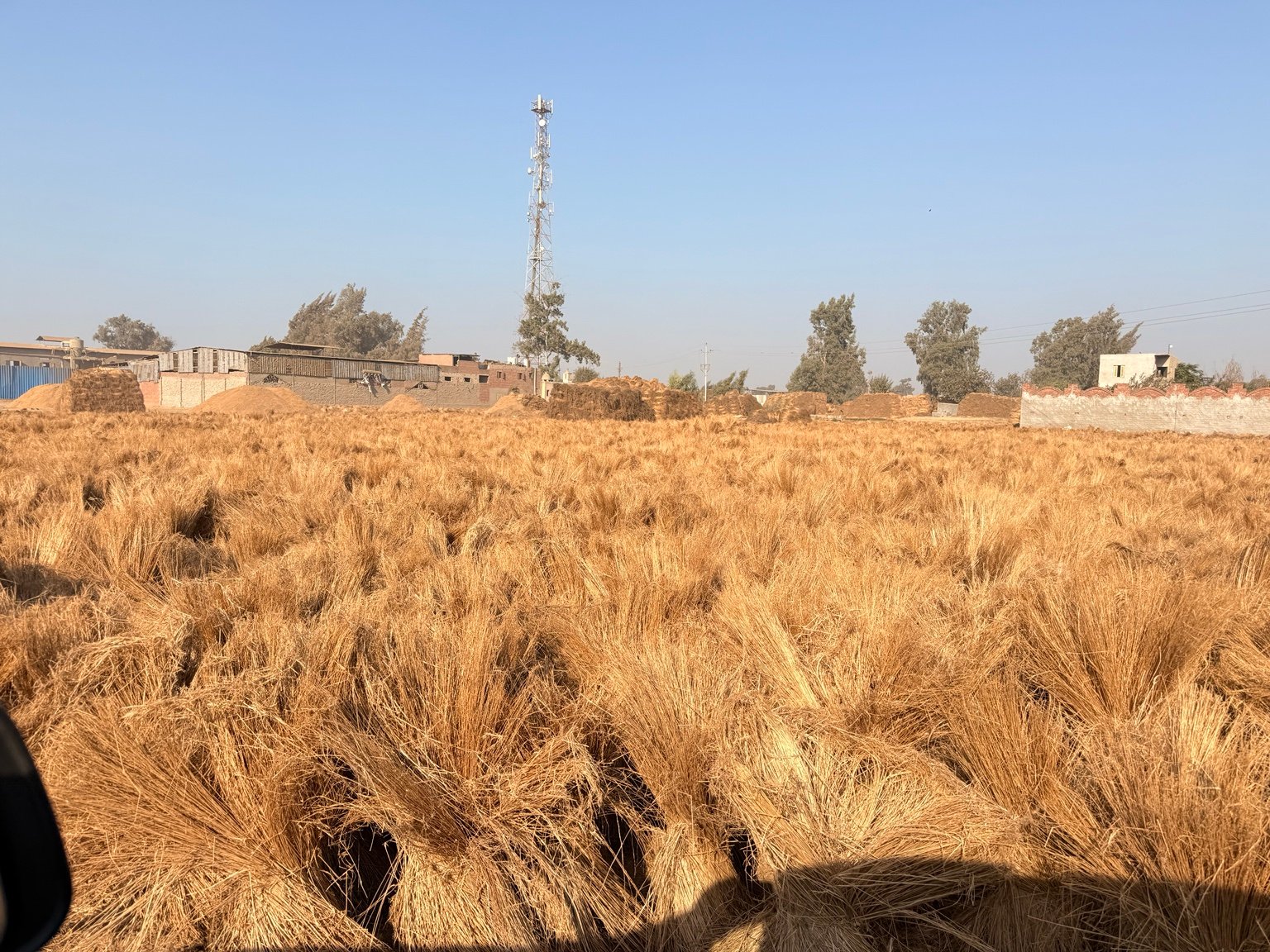 Royal Flax raw material operations